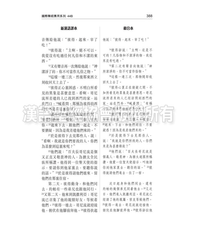 國際釋經應用系列44B：使徒行傳（卷下）（繁體） The NIV Application Commentary 44B - Acts (Paperback)