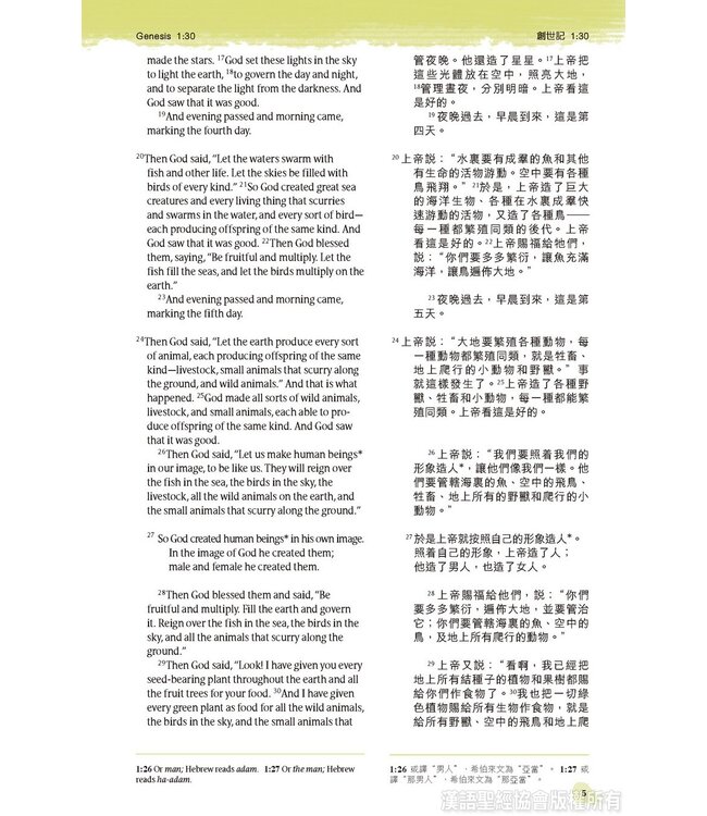 聖經．中英對照．新普及譯本／NLT．碧藍皮硬面．銀邊（繁體） Holy Bible, CNLT/NLT, Traditional Chinese/English, Hardback coated with Imitation Leather, Turquoise, Silvering