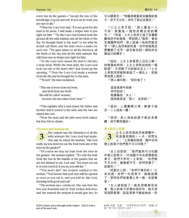 聖經．中英對照．新普及譯本／NLT．碧藍皮硬面．銀邊（繁體） Holy Bible, CNLT/NLT, Traditional Chinese/English, Hardback coated with Imitation Leather, Turquoise, Silvering