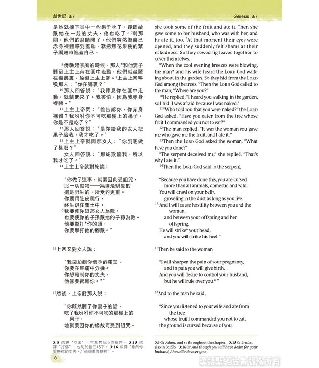 聖經．中英對照．新普及譯本／NLT．碧藍皮硬面．銀邊（繁體） Holy Bible, CNLT/NLT, Traditional Chinese/English, Hardback coated with Imitation Leather, Turquoise, Silvering