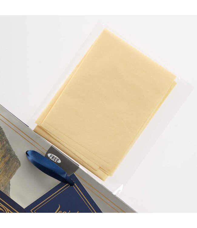 Trust in the LORD Always - Medium Gift Bag - Isaiah 26:4