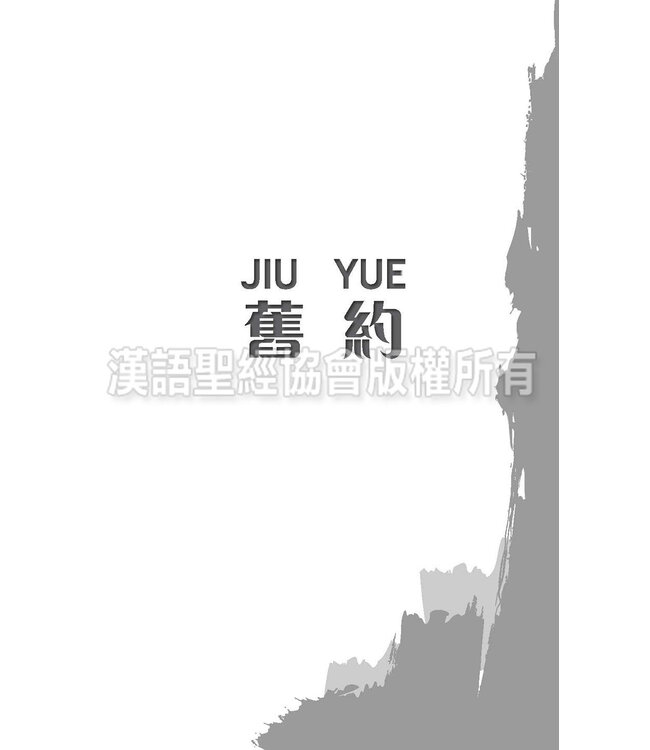 聖經．新普及譯本．漢語拼音版．藍色仿皮面銀邊（繁體）（附CD）