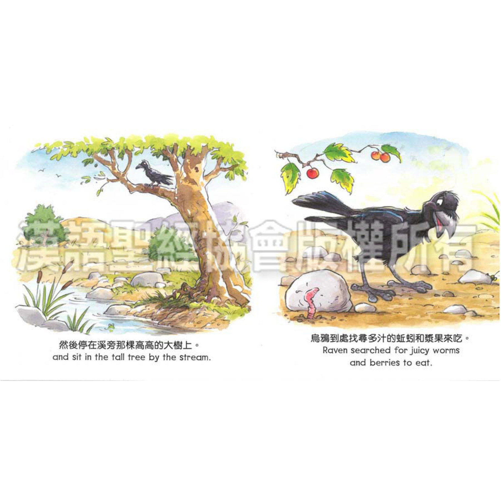 漢語聖經協會 Chinese Bible International 聖經動物園系列：烏鴉送食物（中英對照） Bible Animals Series - Raven Delivers Food (Hardcover)