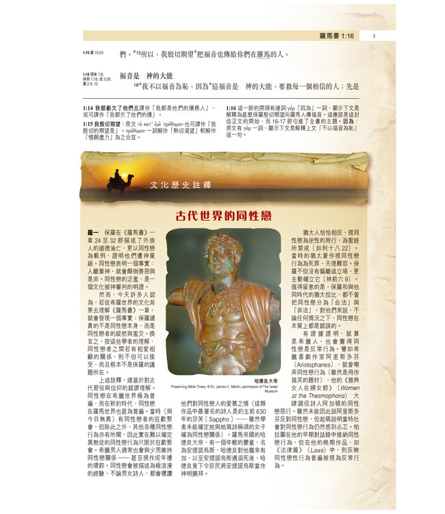 聖經・考古研讀版：保羅書信（新漢語譯本經文） Archaeological Study Bible - Pauline Epistles, CCV, Traditional Chinese, Paperback