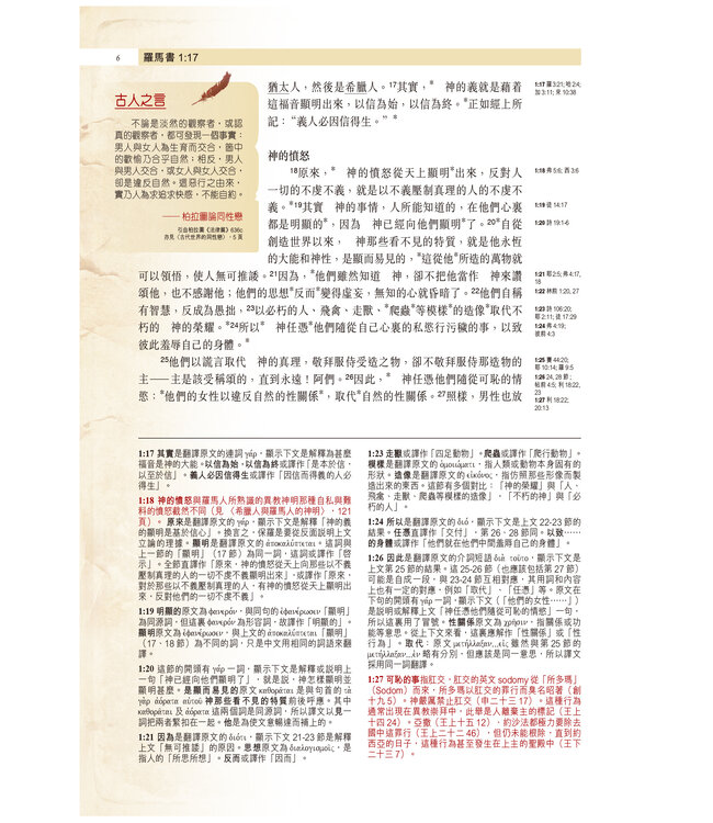聖經・考古研讀版：保羅書信（新漢語譯本經文） Archaeological Study Bible - Pauline Epistles, CCV, Traditional Chinese, Paperback
