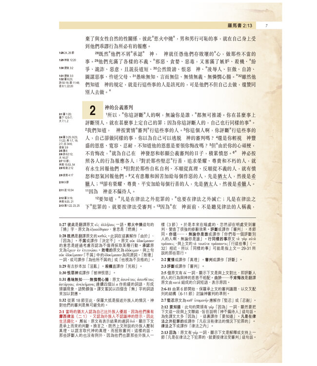 聖經・考古研讀版：保羅書信（新漢語譯本經文） Archaeological Study Bible - Pauline Epistles, CCV, Traditional Chinese, Paperback