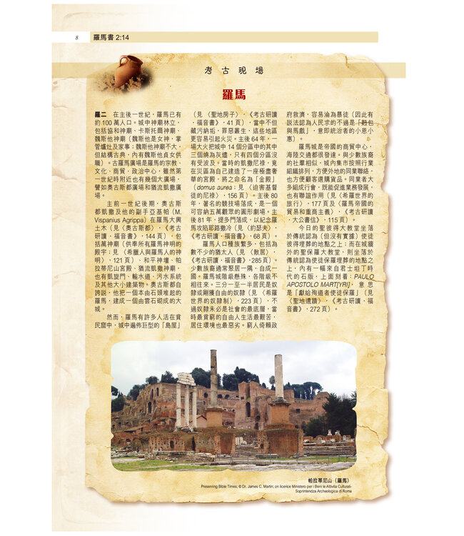 聖經・考古研讀版：保羅書信（新漢語譯本經文） Archaeological Study Bible - Pauline Epistles, CCV, Traditional Chinese, Paperback