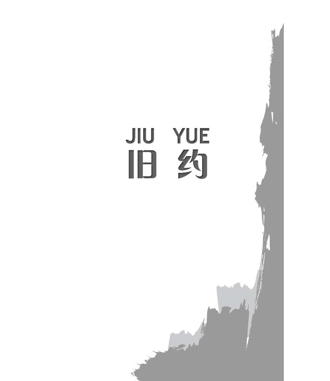 圣经．新普及译本．汉语拼音版．硬面白边．简体