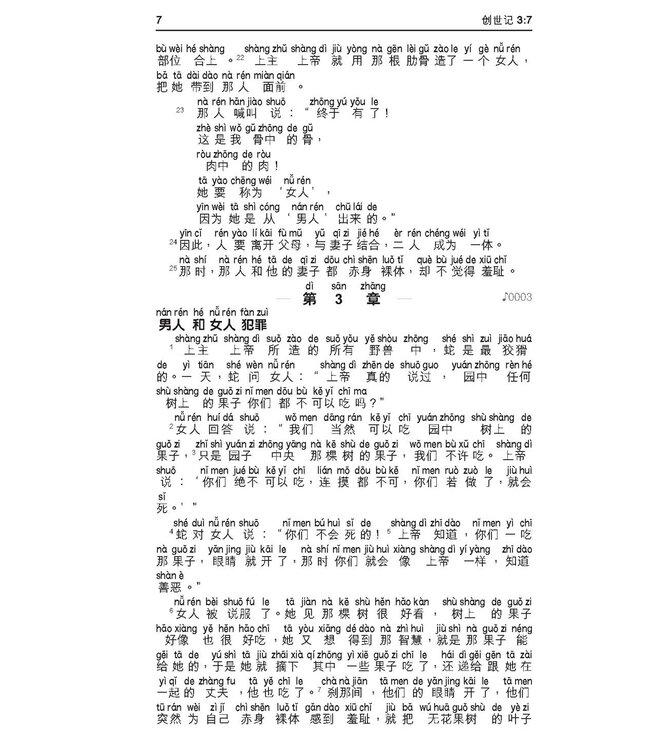 圣经．新普及译本．汉语拼音版．硬面白边．简体