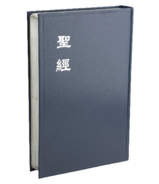 台灣聖經公會 The Bible Society in Taiwan 聖經．和合本．神版／大字型／藍色硬面銀邊（斷版）