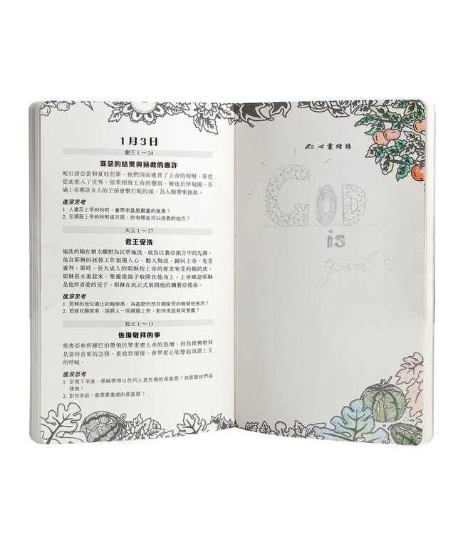 《讀經日記》手帳版．禮盒套裝 God’s Big Picture - Bible Reading Journal, Handheld, Full Set, Traditional Chinese, Paperback
