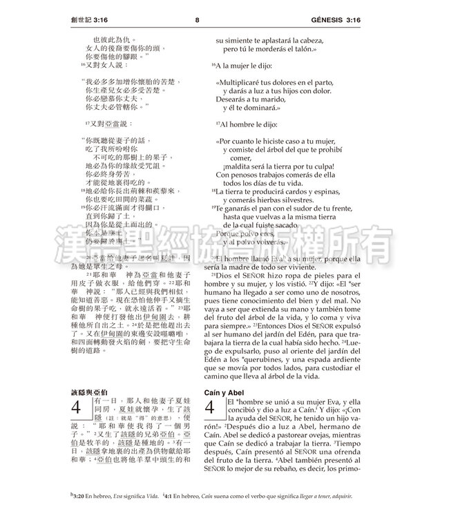 聖經．中西對照（和合本／NVI）輕便本．皮面金邊（繁體）