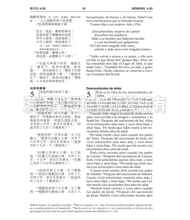 聖經．中西對照（和合本／NVI）輕便本．皮面金邊（繁體）