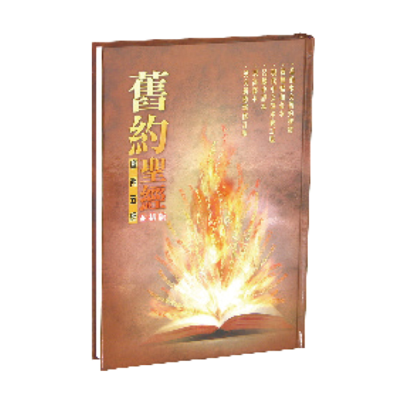 香港聖經公會 Hong Kong Bible Society 舊約聖經．摩西五經．六種版本並排版
