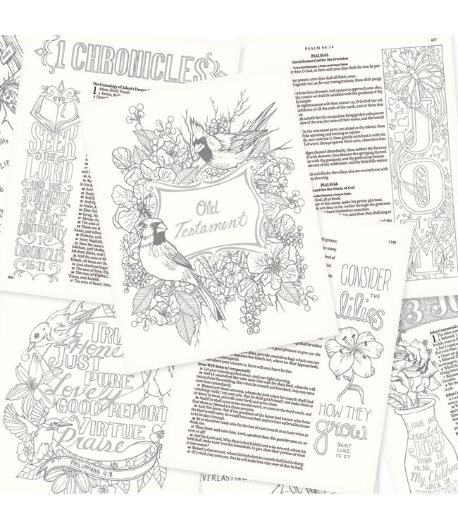 Silky Floral KJV My Creative Bible