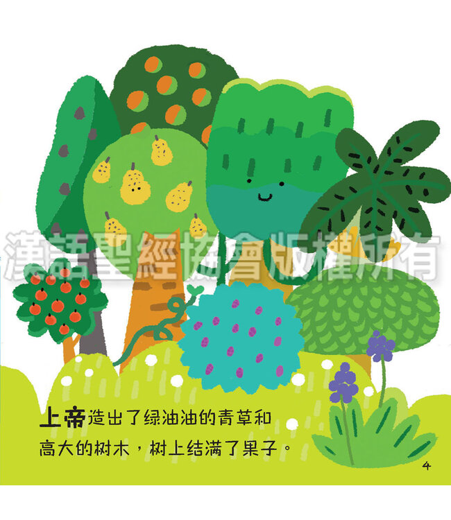 美好的创世记（一套6本）