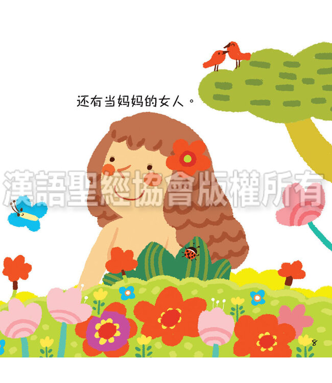 美好的创世记（一套6本）