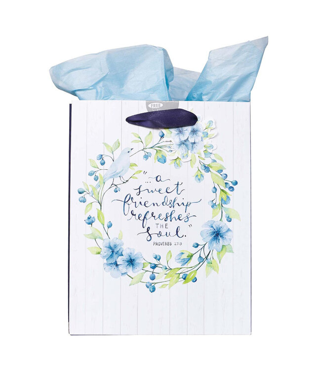 A Sweet friendship Medium Gift Bag in White and Blue with Tissue Paper - Proverbs 27:9