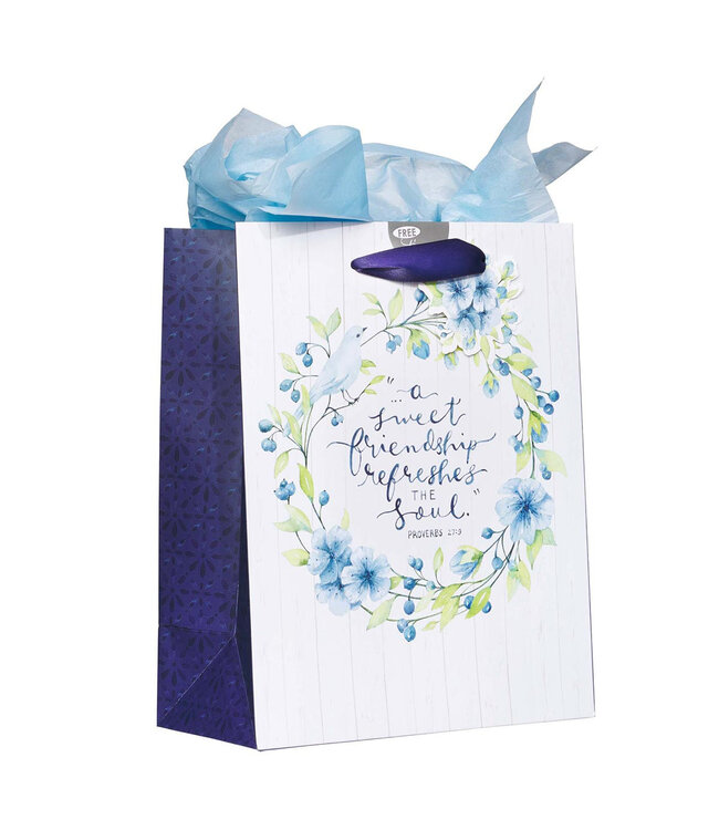 A Sweet friendship Medium Gift Bag in White and Blue with Tissue Paper - Proverbs 27:9