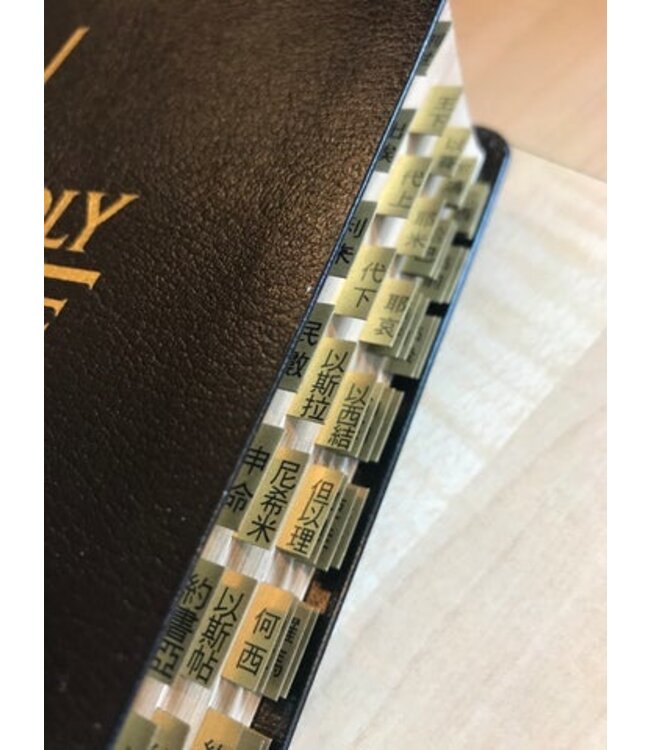 新舊約聖經目錄標籤（中英對照）（金色）