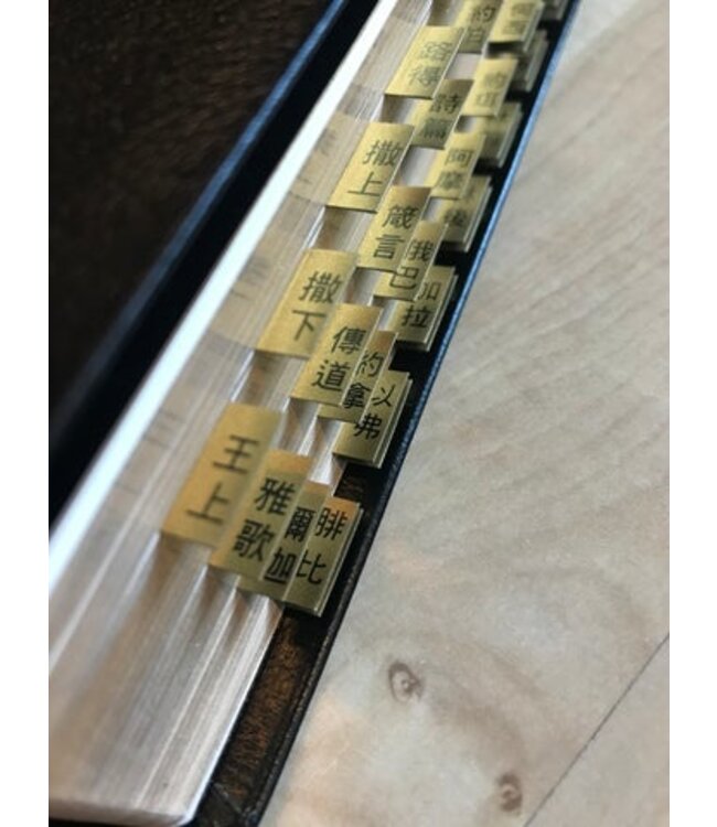 新舊約聖經目錄標籤（中英對照）（金色）