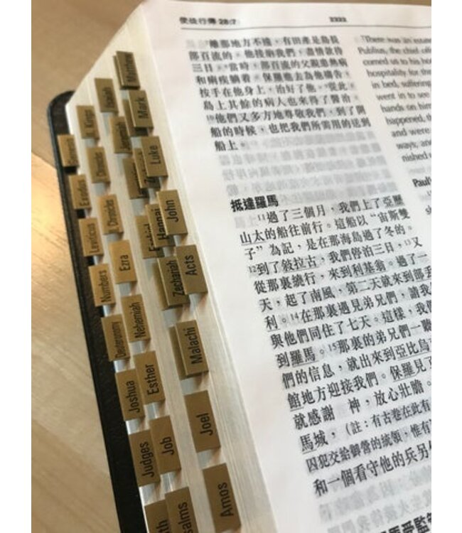 新舊約聖經目錄標籤（中英對照）（金色）
