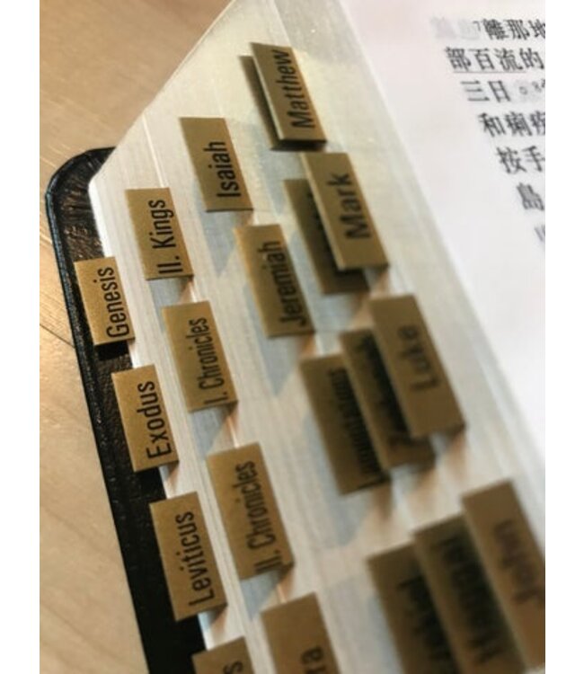 新舊約聖經目錄標籤（中英對照）（金色）