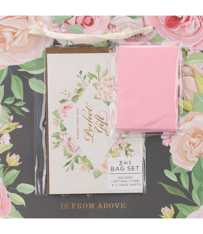 Perfect Gift Pink Rose Large Portrait Gift Bag with Card – James 1:17