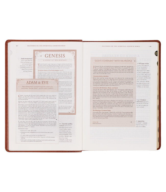 Saddle Tan Faux Leather Spiritual Growth Bible