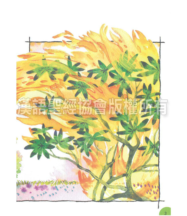 聪明小脑袋圣经活动册．上帝的英雄（简体中文／英文） | Bible Activities for Bright Minds - God's Heroes, Simplified Chinese/English, Paperback