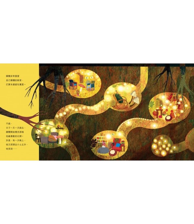 摩爾的星星（精裝） | Mole’s Star