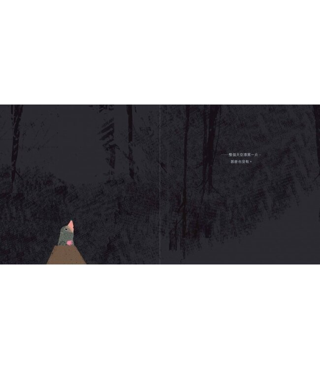 摩爾的星星（精裝） | Mole’s Star