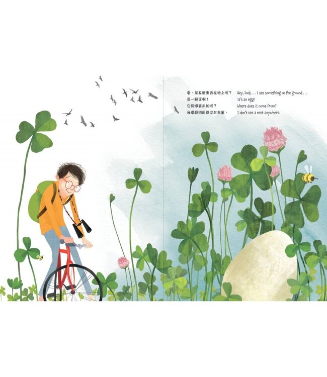 孵蛋狂想曲（中英對照）（精裝） | THE BOY AND THE EGG