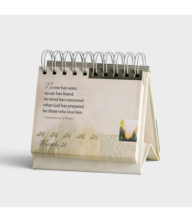 Promises & Blessings - 365 Day Perpetual Calendar