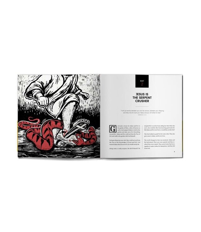 Who Is Jesus?: 40 Pictures to Share with Your Family