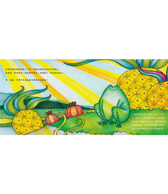 蝌蚪與青蛙（II）