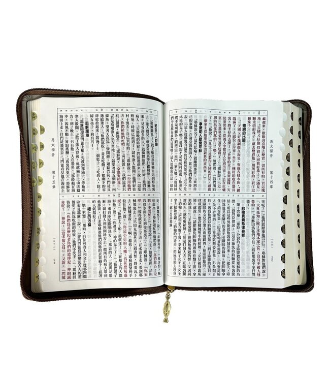 聖經．和合本．大字版．灰咖金皮面雙拼拉鍊索引