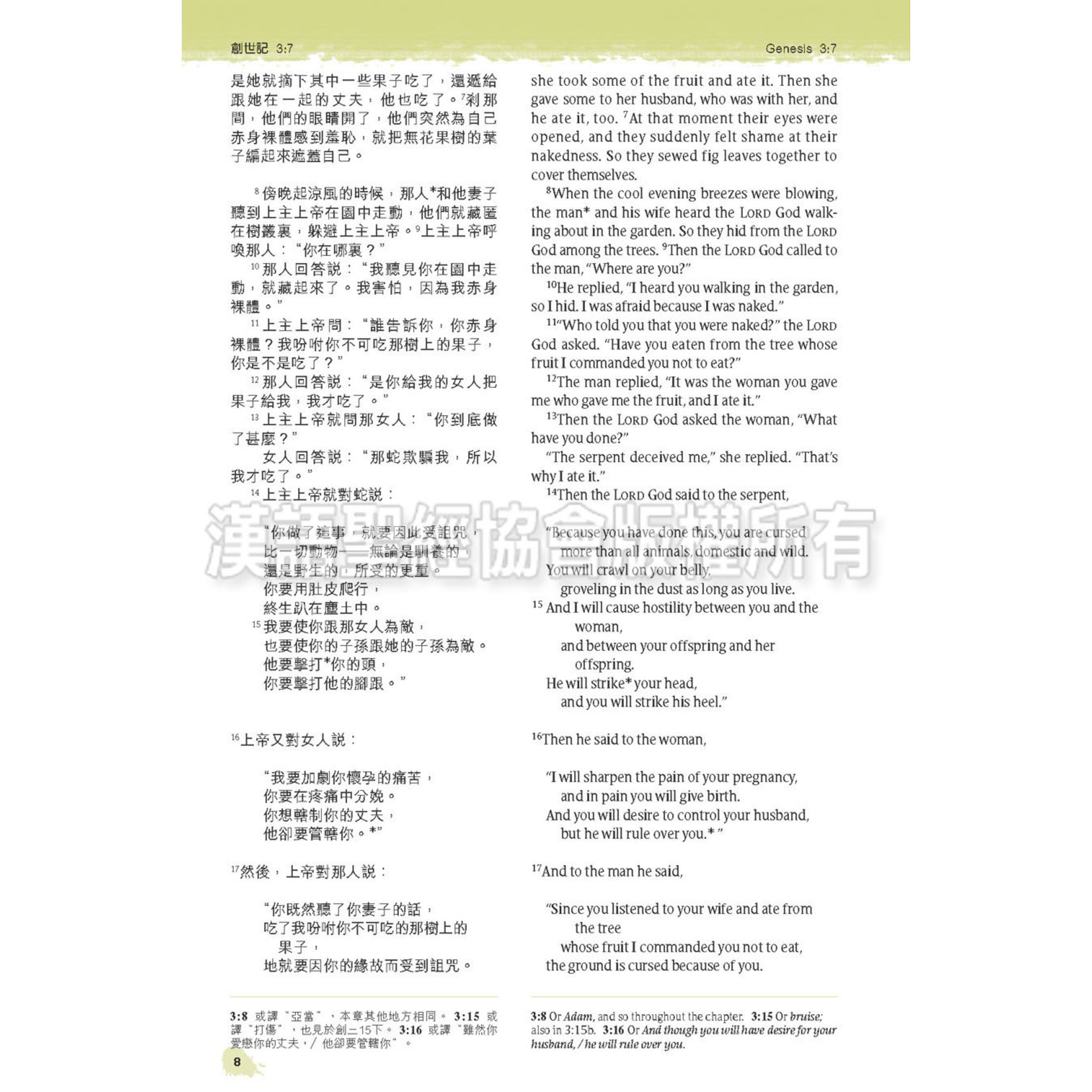 漢語聖經協會 Chinese Bible International 聖經．中英對照．新普及譯本／NLT．淺藍仿皮銀邊（繁體） | NLT / CNLT (English / Traditional Chinese) (Leather cover) Personal Size