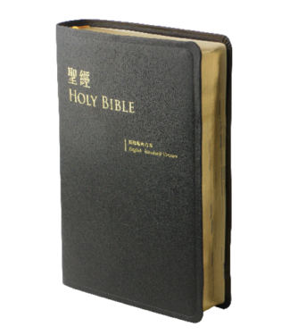 台灣聖經公會 The Bible Society in Taiwan 聖經．新標點和合本／ESV．中英對照／中型／黑色皮面金邊（繁體）