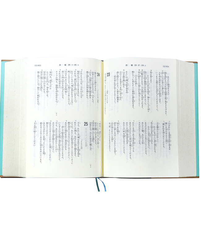 聖經．日文中型共同譯本．膠面白邊