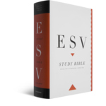 Crossway ESV Study Bible (Hardcover, Indexed)