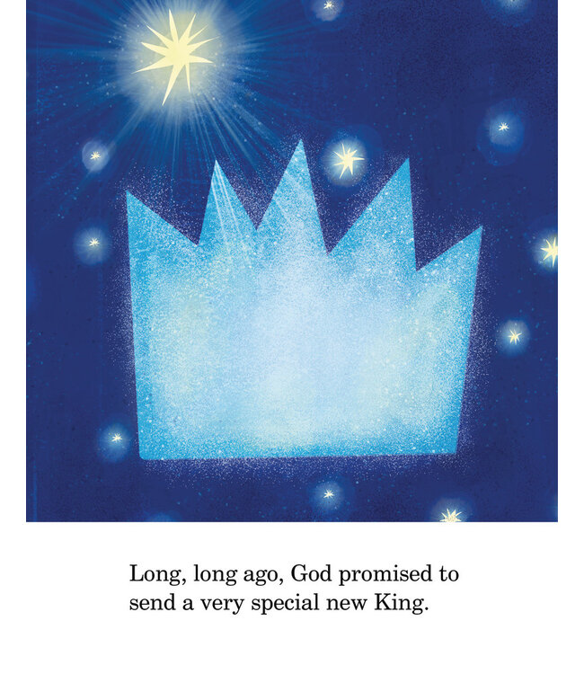 The Christmas Promise Board Book