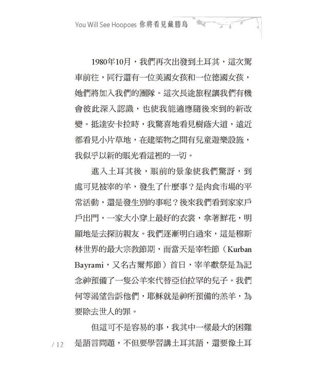 你將看見戴勝鳥 | You Will See Hoopoes