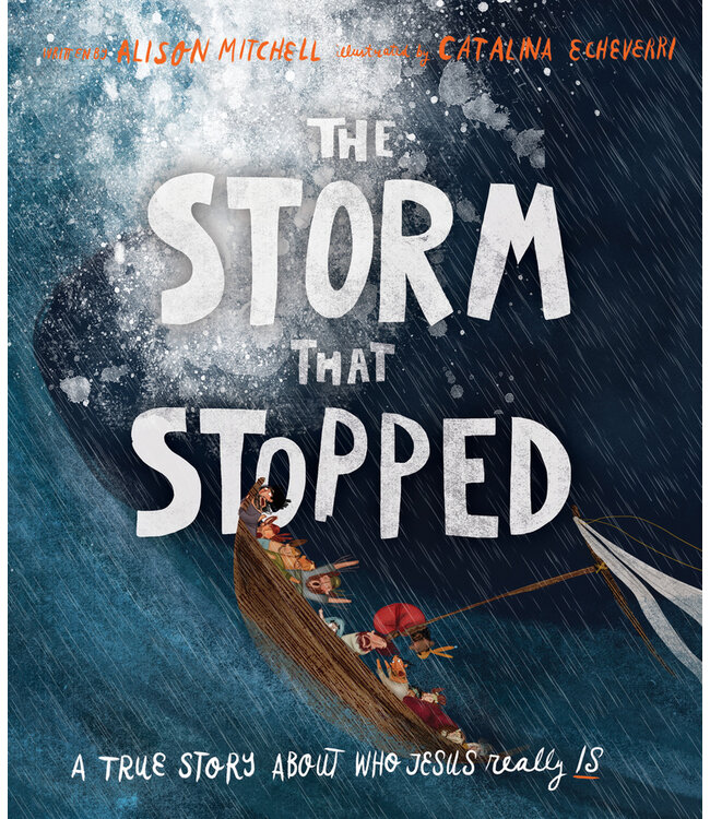 The Storm That Stopped Storybook: A true story about who Jesus really is