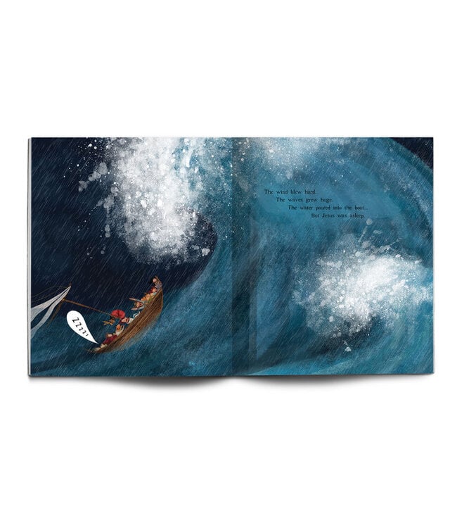 The Storm That Stopped Storybook: A true story about who Jesus really is