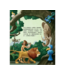 上帝是我的好朋友：故事聖經 | Friends With God Story Bible: Why God Loves People Like Me