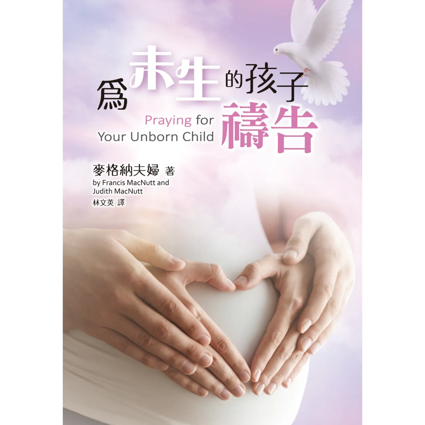 以琳 Elim (TW) 為未生的孩子禱告（新版） | Praying for Your Unborn Child