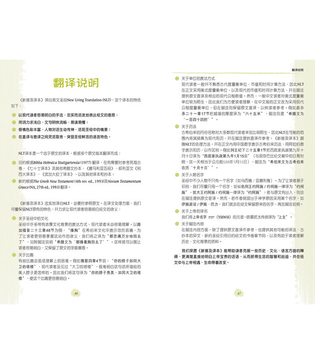 圣经．新普及译本．蓝色仿皮面银边（简体）