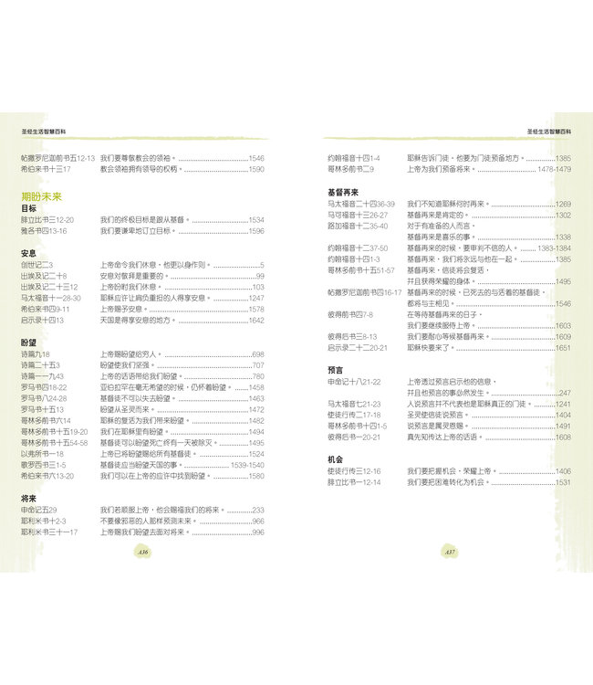 圣经．新普及译本．蓝色仿皮面银边（简体）