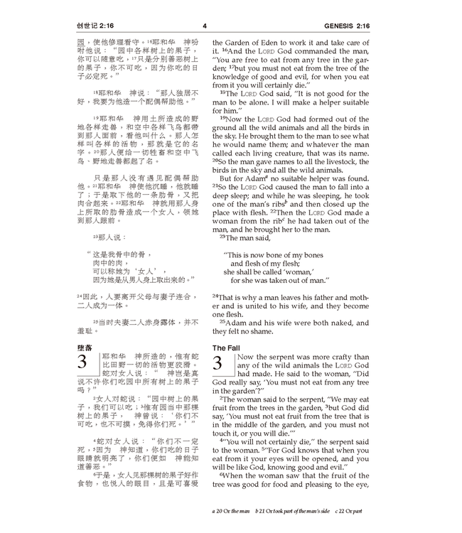 圣经．和合本／NIV．中英对照．中型．平装红黑面（简体） | CUV (Simplified Script), NIV, Chinese/English Bilingual Bible Paperback